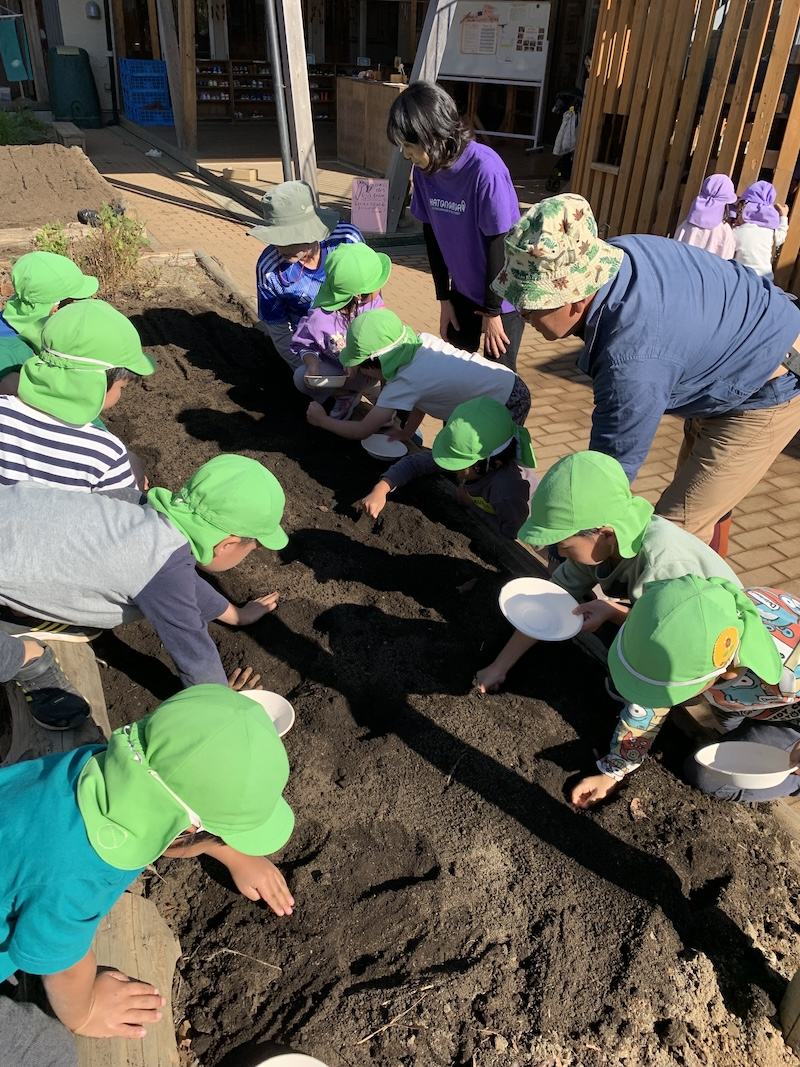 保育園のみんなで種まき